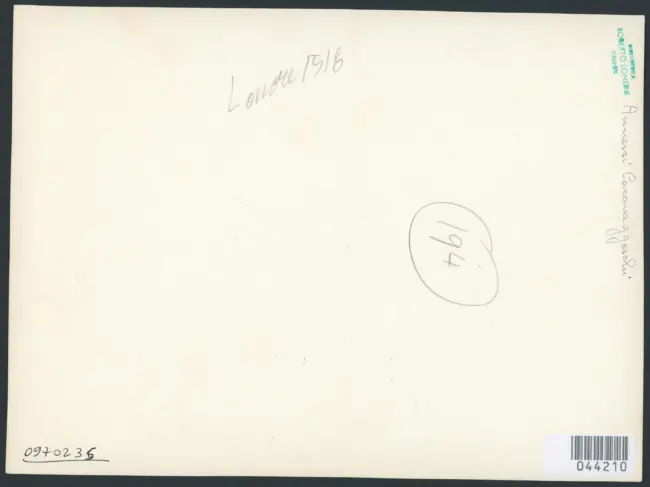 Ritratto di uomo in armatura (Gaston de Foix?) - sec. XVI - Ritratto di gentiluomo in armatura