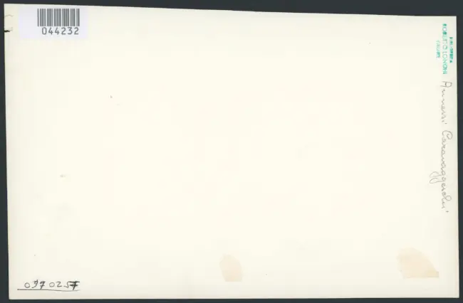 Anonimo - XVII - Bacco