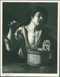 Anonimo caravaggesco meridionale - sec. XVII - Ragazzo morso da un gambero
