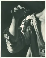 Anonimo caravaggesco meridionale - sec. XVII - Ragazzo morso da un gambero