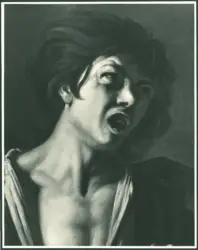 Anonimo caravaggesco meridionale - sec. XVII - Ragazzo morso da un gambero