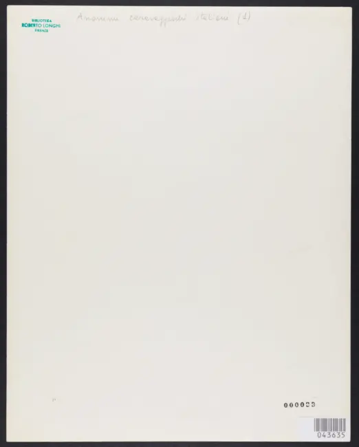 Finson Louis - (?) - sec. XVII - Uomo con canestro di frutta - particolare - radiografia