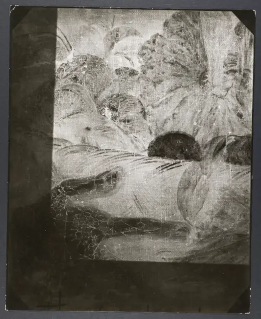 Uomo con canestro di frutta