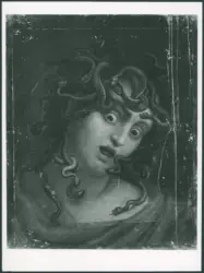 Anonimo caravaggesco italiano - sec. XVII - Testa di Medusa