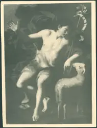 Anonimo caravaggesco italiano - sec. XVII - San Giovanni Battista con l'agnello