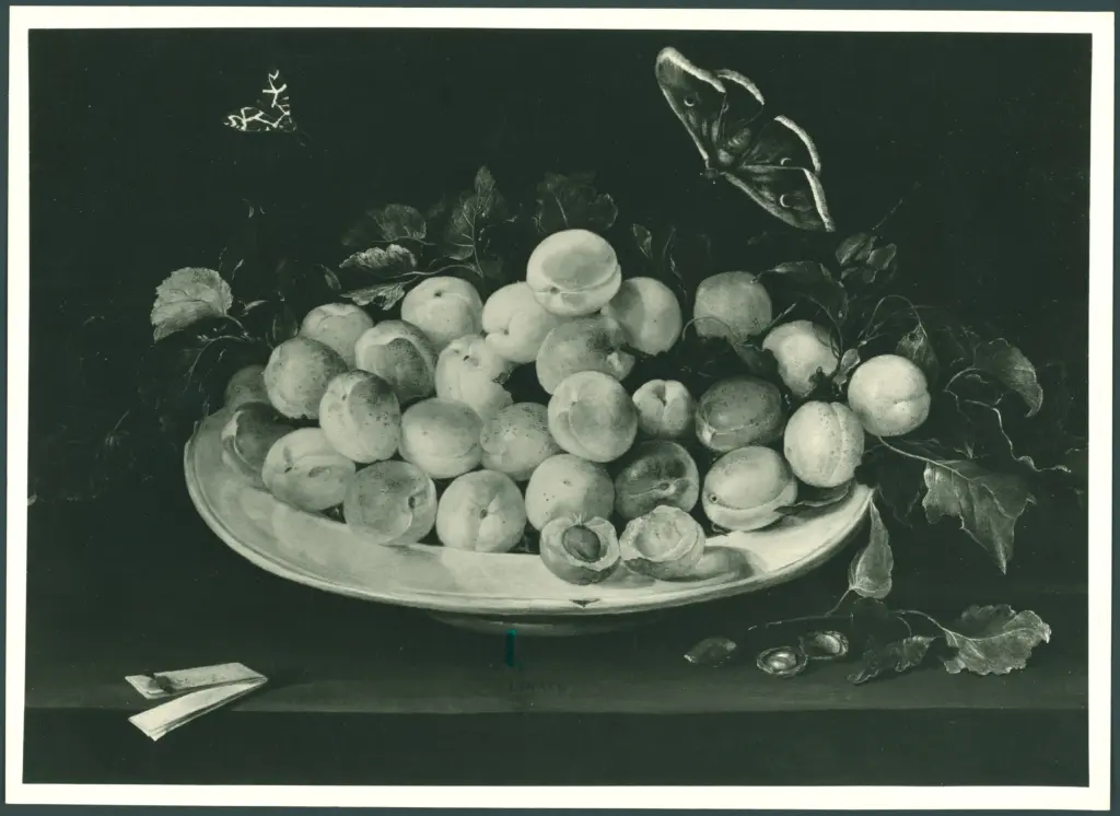 Piatto con frutta e due farfalle