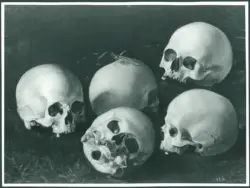 Teschi