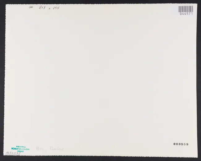 Pynas Jacob Symonsz. - (?) - sec. XVII - Angelica cura le ferite di Medoro