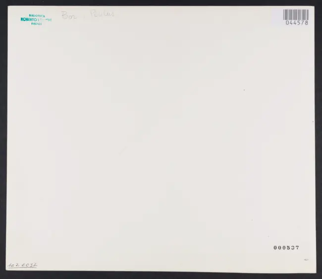 Bor Paulus - sec. XVII - Scena di vendemmia