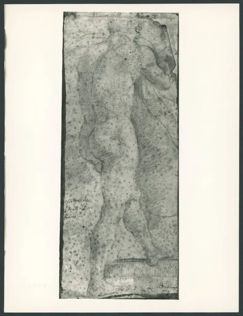 Studio di nudo maschile