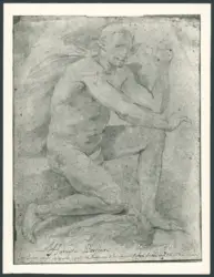 Fauno