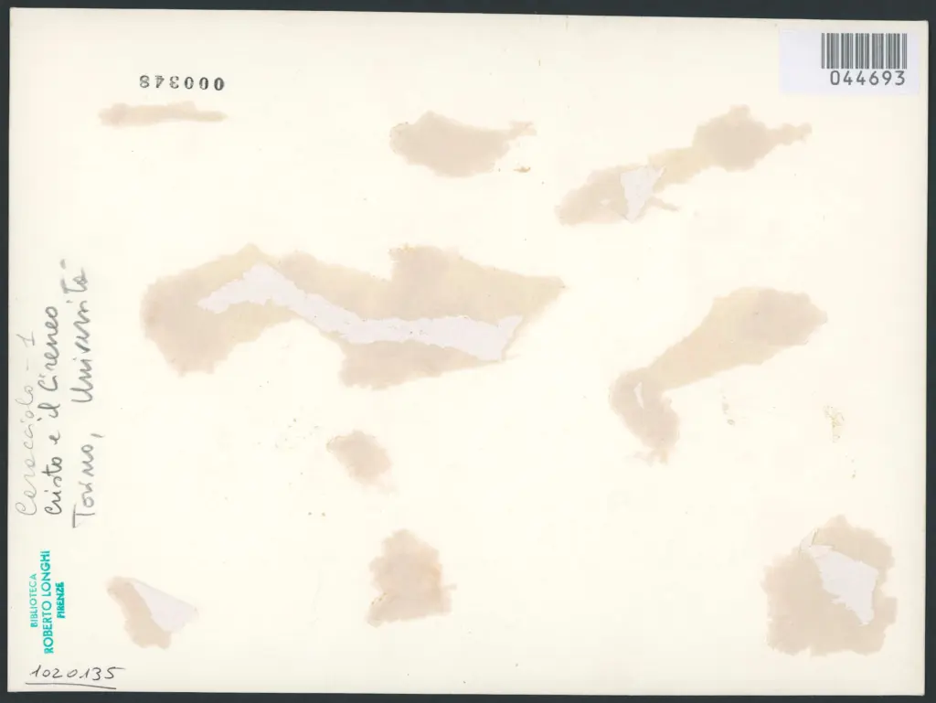 Caracciolo Giovanni Battista (Battistello) - sec. XVII - Cristo aiutato da Simone il Cireneo a portare la croce