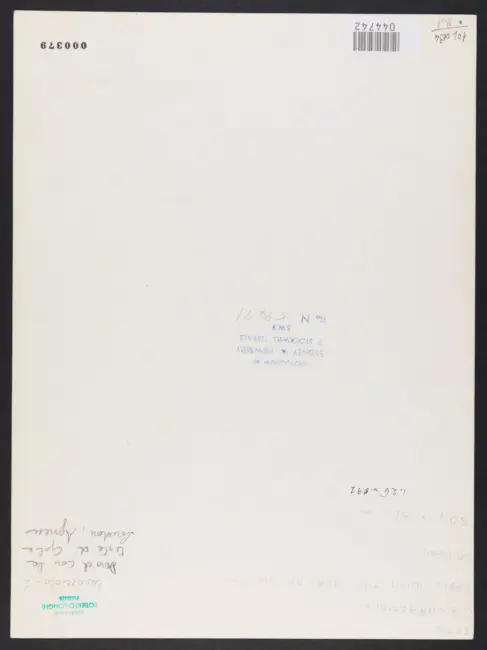 Caracciolo Giovanni Battista (Battistello) - sec. XVII - David con la testa di Golia