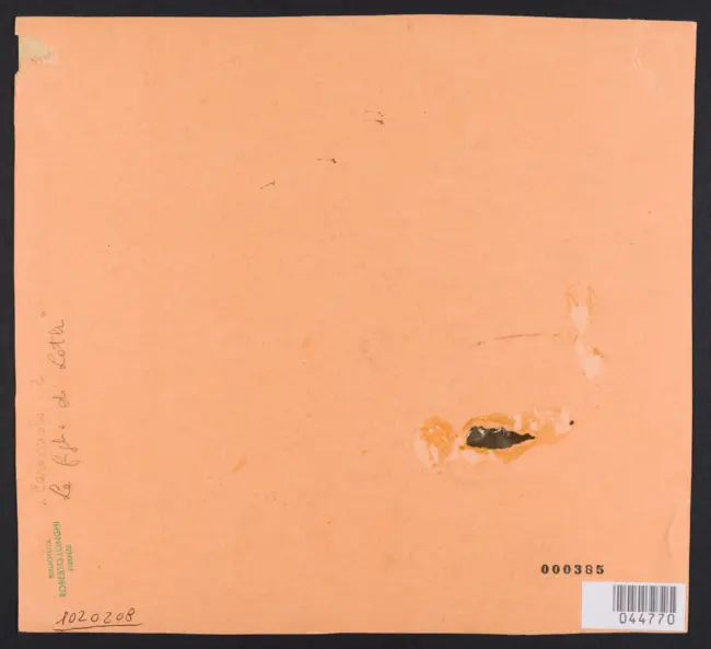 Caracciolo Giovanni Battista (Battistello) - sec. XVII - Lot e le figlie