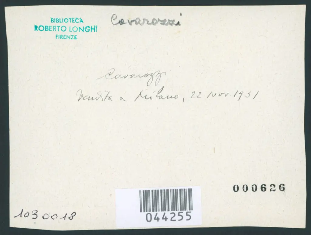 42 - Luca Cambiaso - La deposizione