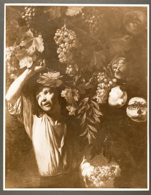 Natura morta con frutta e giovane che coglie l'uva