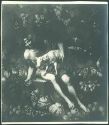 Cerquozzi Michelangelo (Michelangelo delle Bambocciate/ Michelangelo delle Battaglie) - sec. XVII - Bacco