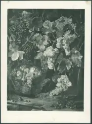 Cerquozzi Michelangelo (Michelangelo delle Bambocciate/ Michelangelo delle Battaglie) - sec. XVII - Natura morta con uva, cesto di mele e castagne