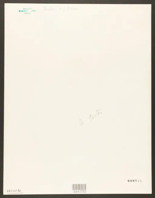 Coster Adam de; Crabeth Wouter Pietersz II  - sec. XVII - Giocatori di carte