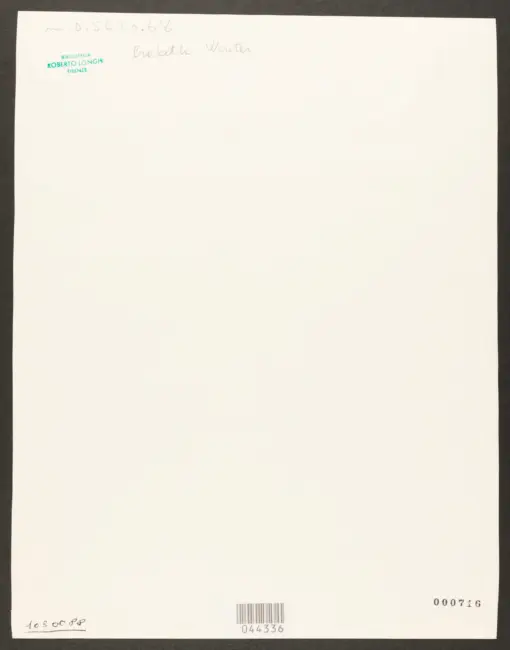 Crabeth Wouter Pietersz II  - sec. XVII - Zingara