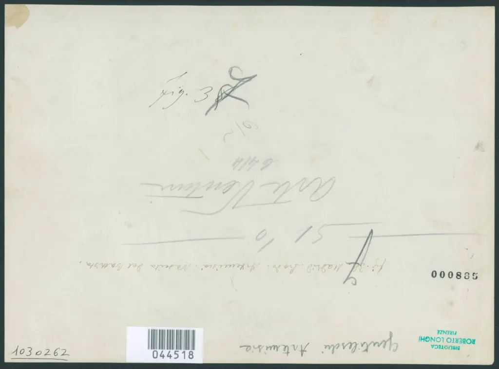 Gentileschi Artemisia - sec. XVII - Nascita di san Giovanni Battista