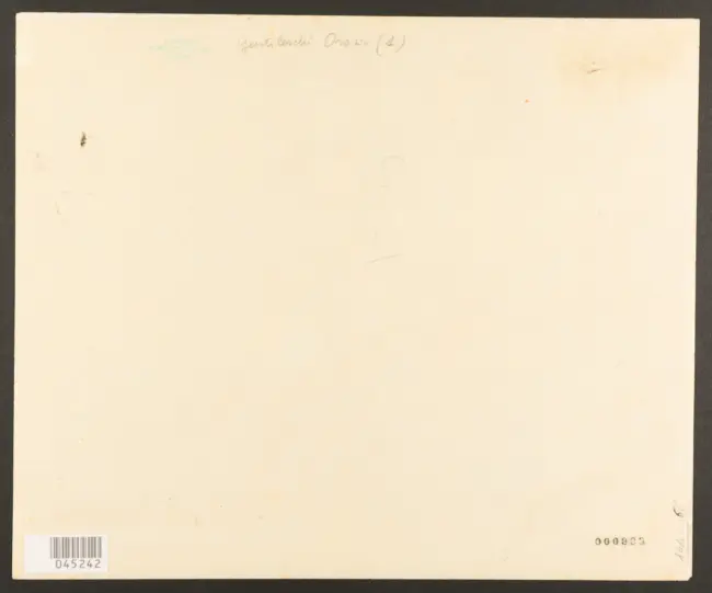 Gentileschi Orazio - sec. XVII - David con la testa di Golia