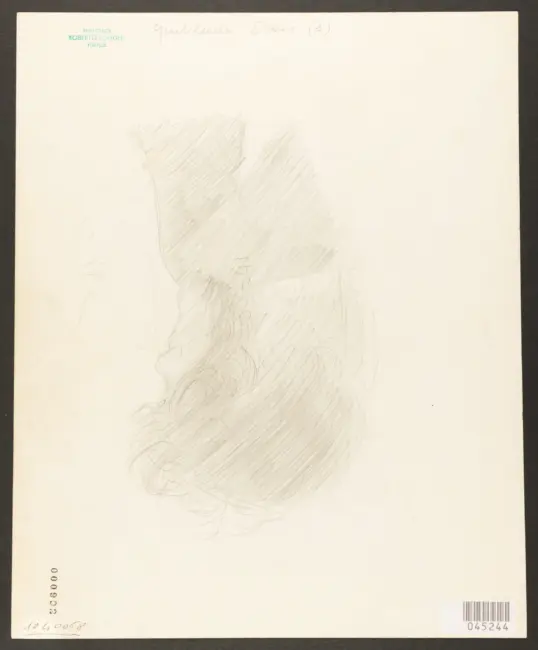 Gentileschi Orazio - sec. XVII - David con la testa di Golia