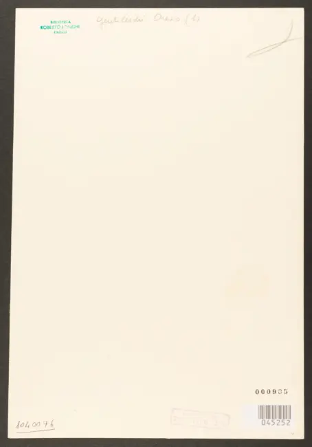 Seghers Gerard (inventore); Massard Jean Baptiste(incisore) - sec. XVIII/ XIX - Santa Maria Maddalena penitente