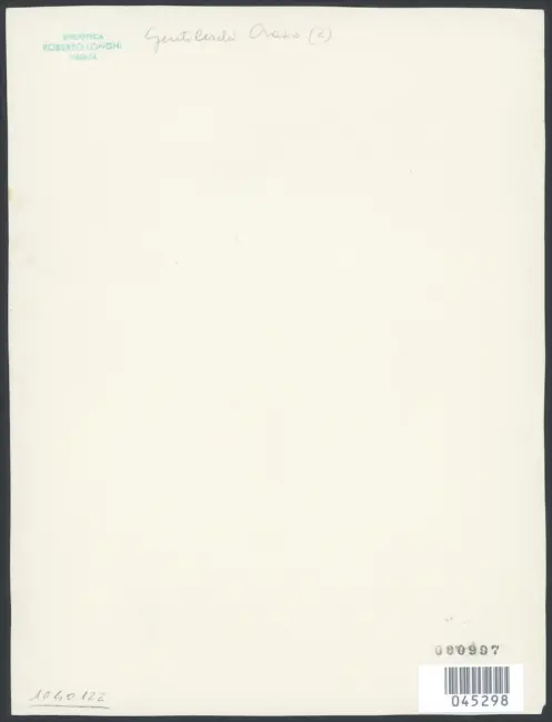 Gentileschi Orazio - sec. XVI/ XVII - Madonna con Bambino