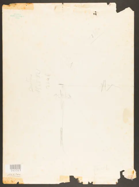 Gentileschi Orazio - sec. XVII - David con la testa di Golia