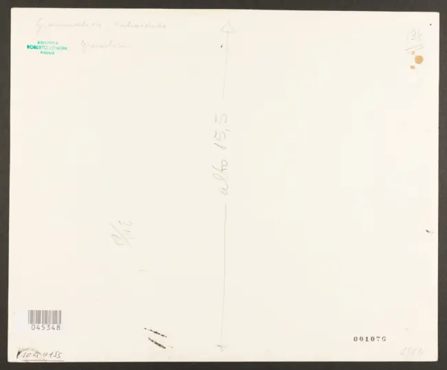 Gramatica Antiveduto  - sec. XVII - Santa Maria Maddalena e santa Marta