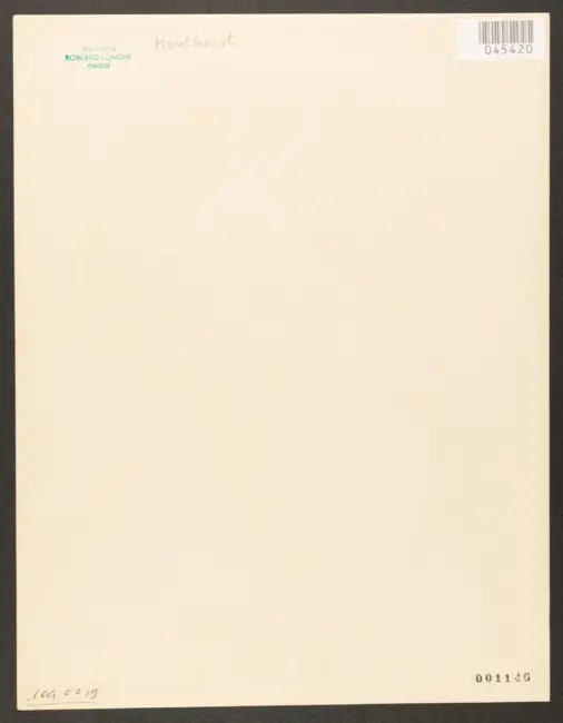 Karlsruhe. Gemaldergalerie No. 449. M. Da Caravaggio, Der Lacher.