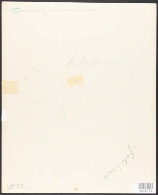 Merisi Michelangelo (Caravaggio) - sec. XVI - Cena in Emmaus