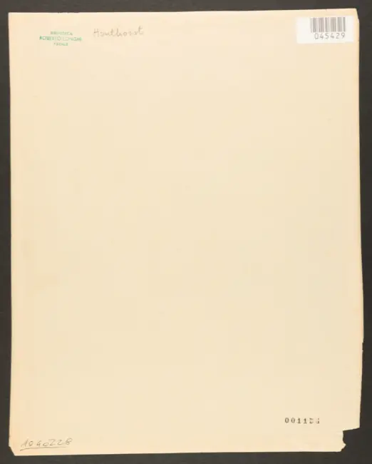 Rijksmusuem Amsterdam. Gerard van Honthorst. Lustiger Musikant