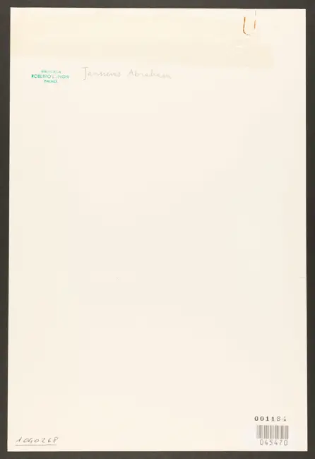 Janssens Abraham - sec. XVI/ XVII - Figure allegoriche