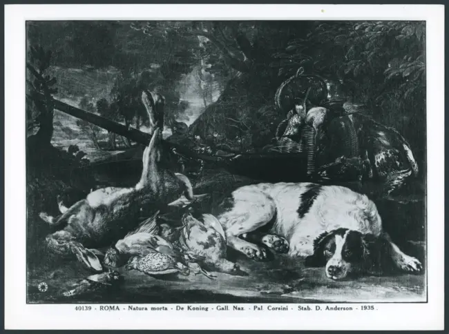 Roma - Natura morta - De Koning - Gall. Naz. - Pal. Corsini