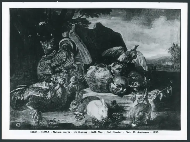 Roma - Natura morta - De Koning - Gall. Naz. Pal. Corsini