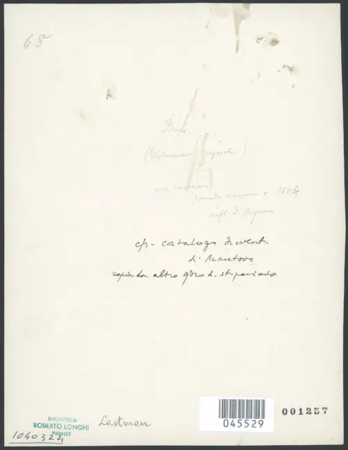 Lastman Pieter - sec. XVII - Pie donne al sepolcro