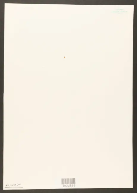 La Tour Georges de - sec. XVII - Santa Maria Maddalena penitente