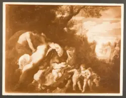 Venere e Adone