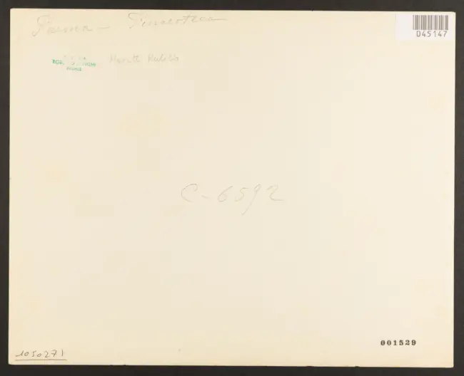 Manetti Rutilio - sec. XVII - Scena campestre