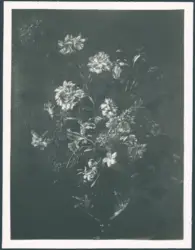 Natura morta con vaso di fiori