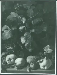 Natura morta con frutta