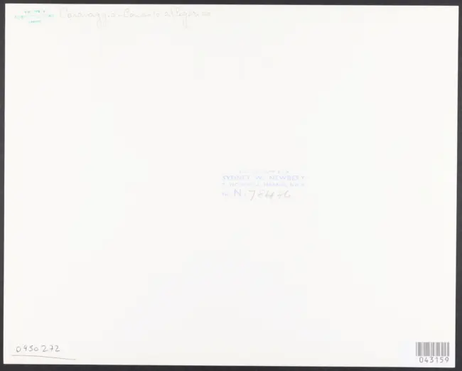 Merisi Michelangelo (Caravaggio) - sec. XVII - Concerto