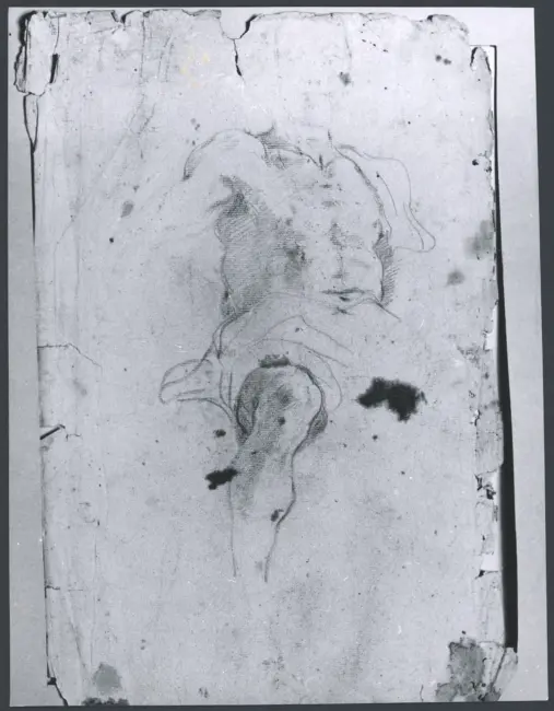 Studi di figura