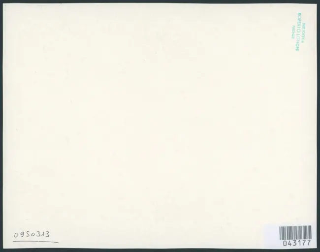 Merisi Michelangelo (Caravaggio) - sec. XVI - San Giovanni Battista con agnello e fiori