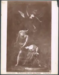 Martirio di Santa Cecilia; Orazio Riminaldi.
