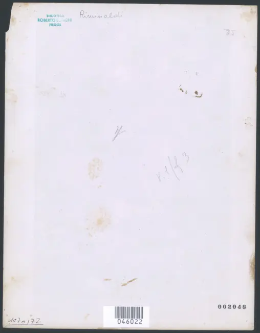 Martirio di Santa Cecilia; Orazio Riminaldi.