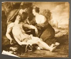 Karlsruhe, Gemaldergalerie No. 181. Th. Rombouts, Irene U. H. Sebastian