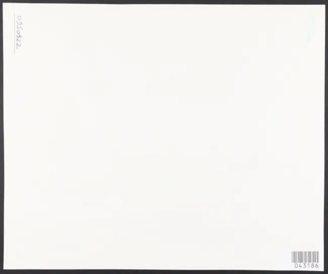 Merisi Michelangelo (Caravaggio) - sec. XVI - David lega la testa di Golia